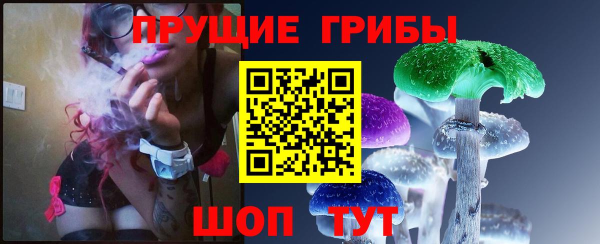 Псилоцибиновые грибы прущие грибы  Вход с VPN  Луга 